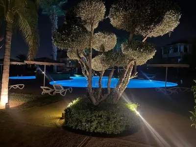 a tree in the middle of a pool at night at Prestigia Pool 5 min Airport in Marrakech