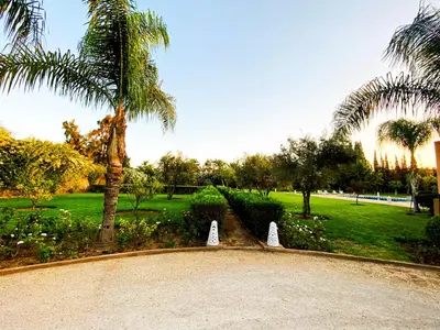 a driveway with cones in a park with palm trees at Villa Moyen orient by séjour in Marrakech