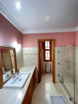 a bathroom with a sink and a shower at Villa Dar Zitoune in Marrakech