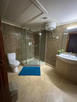 a bathroom with a shower and a toilet and a sink at Riad Arfoud Duplex Fully Equiped in Marrakech