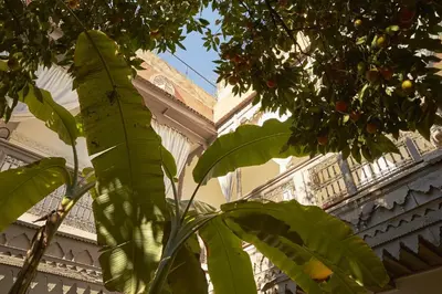 a banana tree in front of a building at Riad Les Jardins d'Henia in Marrakech