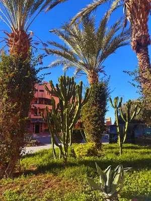 a group of palm trees and plants in a field at Calme et sérénité 5 piscines Palmeraie in Marrakech