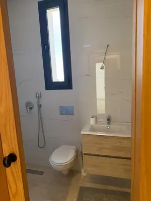 a bathroom with a toilet and a sink at Villa Wissam in Marrakech