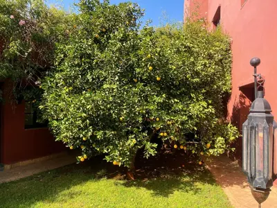 a tree with oranges on it next to a building at Maison Yves st Laurent - Piscine in Marrakech