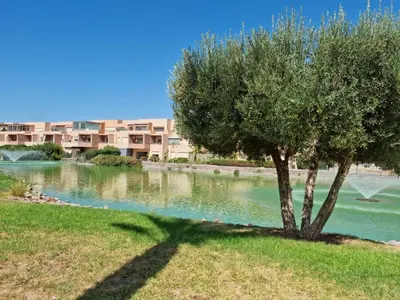 a tree sitting in the grass next to a river at marrakech village in Marrakech