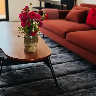 Designer apartment with south-facing terrace