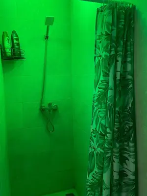 a green bathroom with a shower with a shower curtain at Modern and quit appartment in Marrakech