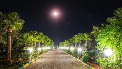 a long road lined with palm trees at night at Villa Targaït - Luxury villa in Marrakech bliss in Marrakech