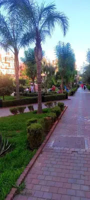 a sidewalk with palm trees and a clock on it at appartement Marrakech in Marrakech