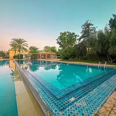le pavillon de la palmeraie - Piscine et jardins