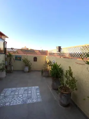 a courtyard with potted plants on the side of a building at Dar Hiba in Marrakech