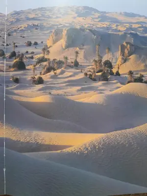 an aerial view of a desert with sand and trees at Chants des dunes in Marrakech