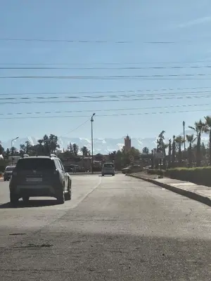 two cars driving down a road with palm trees at Appartement a louer 2 chambres in Marrakech