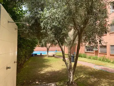 a tree in a yard next to a building at Charmant, terrasse intime, près du centre in Marrakech