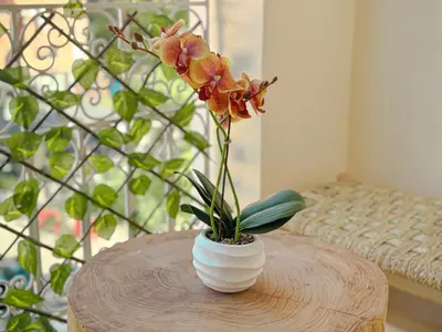 a white vase with a flower on a table at Escapade Gueliz - Central & parking Privé in Marrakech