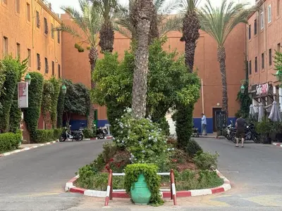 a street with a palm tree and a green vase at Riad Souleimane Résidence Qaria Siyahiya in Marrakech