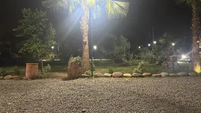 a palm tree in a park at night at Villa Léa in Marrakech