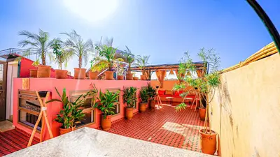 a balcony with a bunch of potted plants on it at riad Orazur in Marrakech