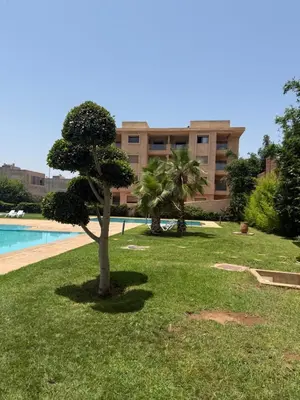 two trees in the grass in front of a building at Marrakech in Marrakech