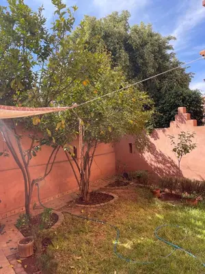 a garden with a tree and a hose at Séjours villa riad pour familles in Marrakech