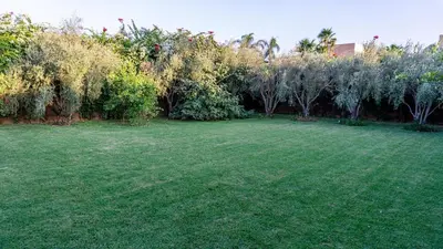 a large yard with green grass and trees at Villa Oasis de Verre - Atlas Golf & Pool in Marrakech