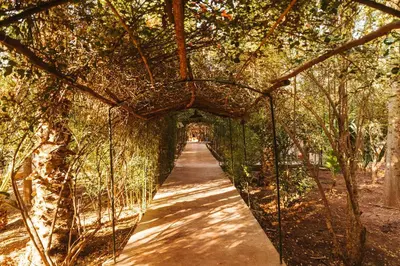 a rope bridge over a path in a park at Oasis Garden Marrakech in Marrakech
