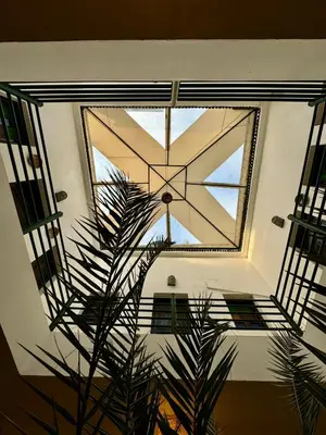 a plant in a room with a ceiling at Riad Iklil hcekarram in Marrakech