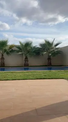 a row of palm trees in front of a wall at Bungalow in Marrakech in Marrakech