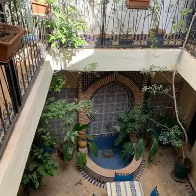 Riad Zinnha 2