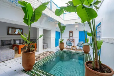 a swimming pool with plants in a living room at Riad Les Secrets De Marrakech in Marrakech