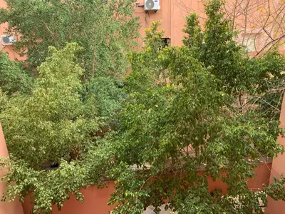 a group of trees in front of a wall at Cozy studio au Centre Marrakech in Marrakech