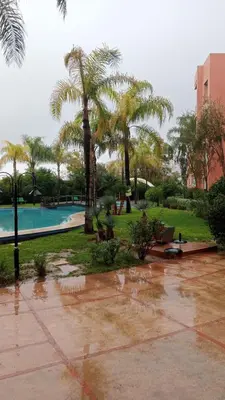a park with palm trees and a swimming pool at Marrakech garden lilla in Marrakech