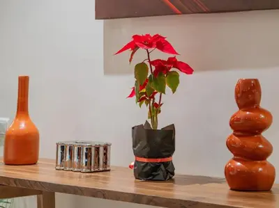 a vase with a red flower in it on a table at Rixos Palm villas with a heated private pool & garden in Marrakech