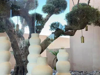 a group of white vases in front of a tree at Ville d'Exception Marrakech in Marrakech