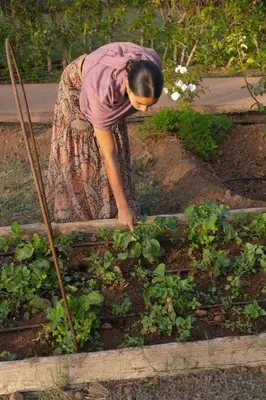 a woman is picking up plants in a garden at Daba Village in Marrakech