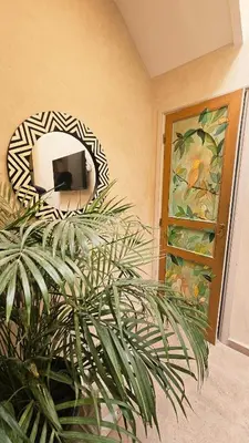 a mirror in a room with a potted plant at Douiria des Loulous in Marrakech