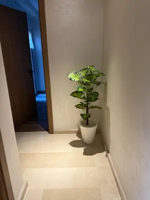a plant in a vase sitting on the floor in a hallway at Appartement Haut standing Gueliz, Piscines, jacuzzi chauffé & Fitness in Marrakech
