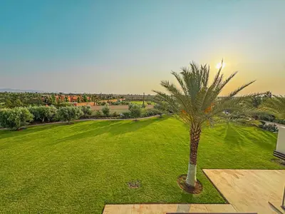 a palm tree in a field of green grass at Private Mountain View Oasis in Bou Azza