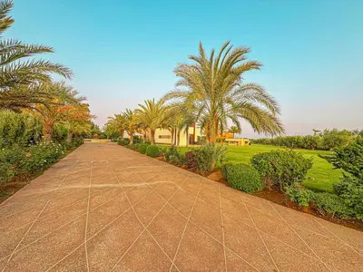 a walkway with palm trees in a park at Private Mountain View Oasis in Bou Azza