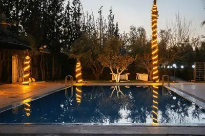 a pool with lights and a palm tree at night at Chamali House Peaceful Nature Farm Stay Ferme Zarraba in El Rhechat