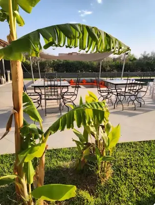a group of tables and chairs and a tree at Atlas villa c3 in Sraghna