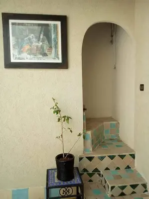 a potted plant sitting on a table in a room at Dar tranquille in Marrakech