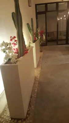 a group of potted plants and flowers in a room at Riad Yara Farah in Marrakech