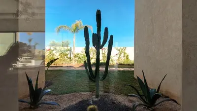 a cactusuanauanauanauanauanauanauanauanauanauanauanauana at Villa Janna heated pool without overlooking in Marrakech
