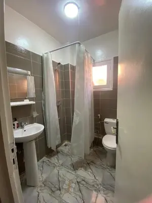 a bathroom with a toilet and a sink and a shower at Apartment near train station Marrakesh in Marrakech