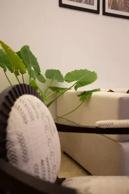 a plant sitting next to a couch with a fan at Modern Oasis in Heart of Guéliz Pool Balcony in Marrakech