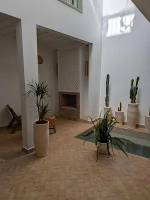 a living room with potted plants and a fireplace at Riad privatif Les Ibéris in Marrakech