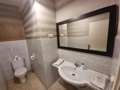 a bathroom with a sink and a toilet and a mirror at Villa Victor Hugo in Marrakech