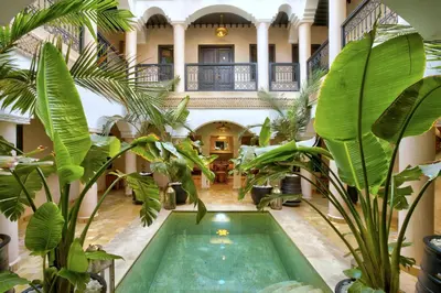 an indoor pool in a building with plants at Riad Bijoux Marrakech in Marrakech