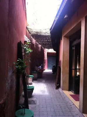 an alley with potted plants on the side of a building at Riad Sabbah in Marrakech